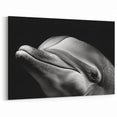 Close-Up Dolphin Wall Art - Intimate Black and White Marine Print