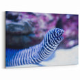 Striking Eel Wall Art - Underwater Marine Life Canvas & Framed Prints