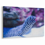 Striking Eel Wall Art - Underwater Marine Life Canvas & Framed Prints