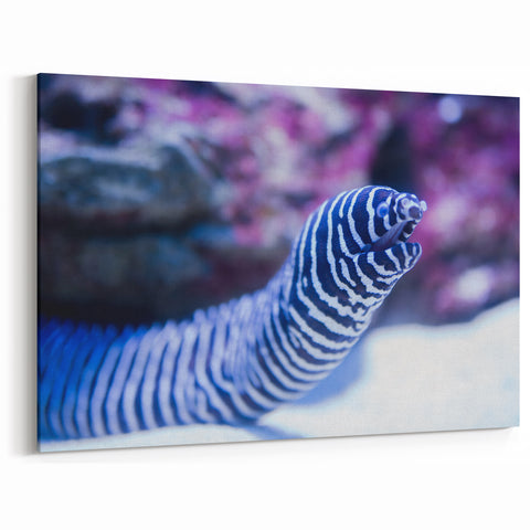 Striking Eel Wall Art - Underwater Marine Life Canvas & Framed Prints