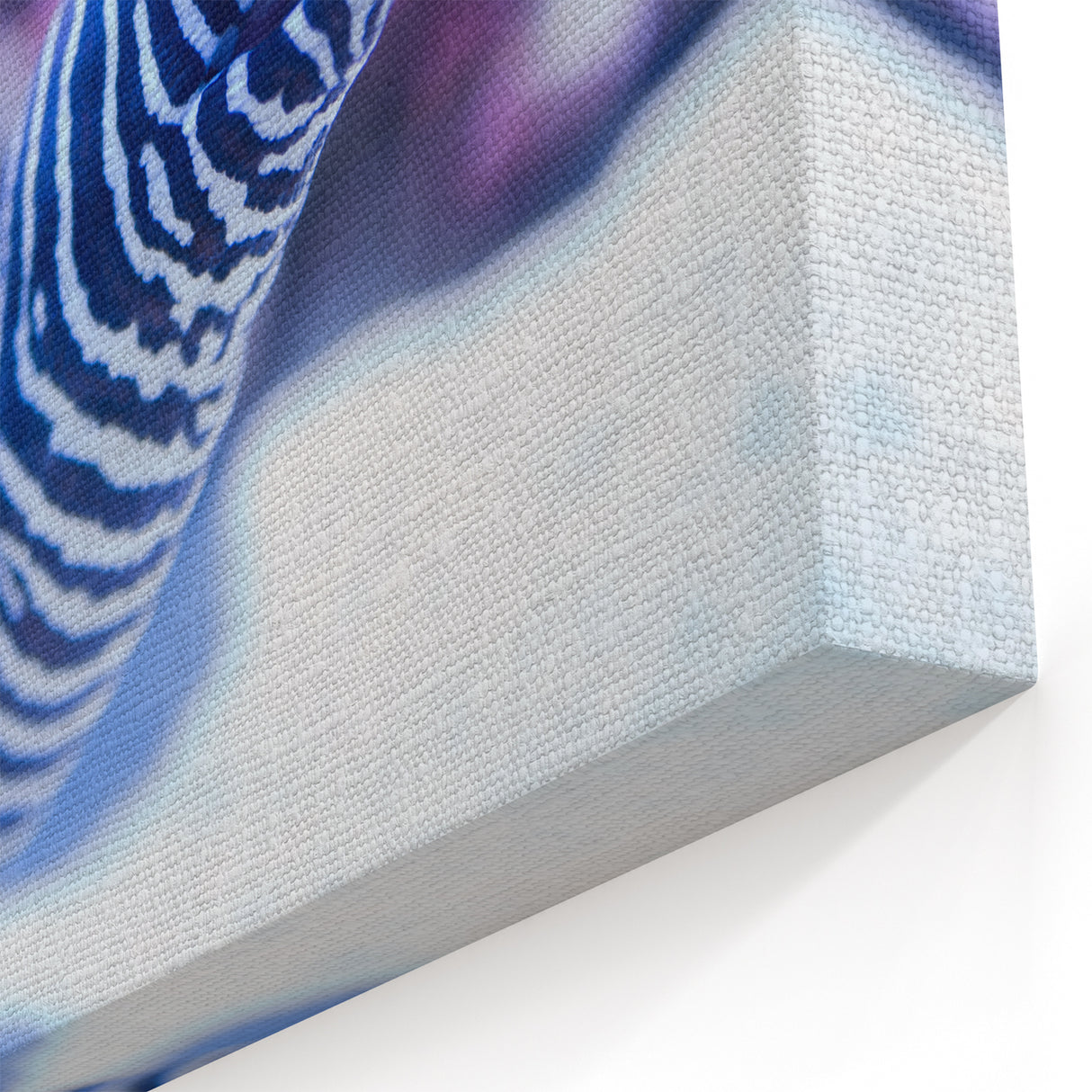 Striking Eel Wall Art - Underwater Marine Life Canvas & Framed Prints