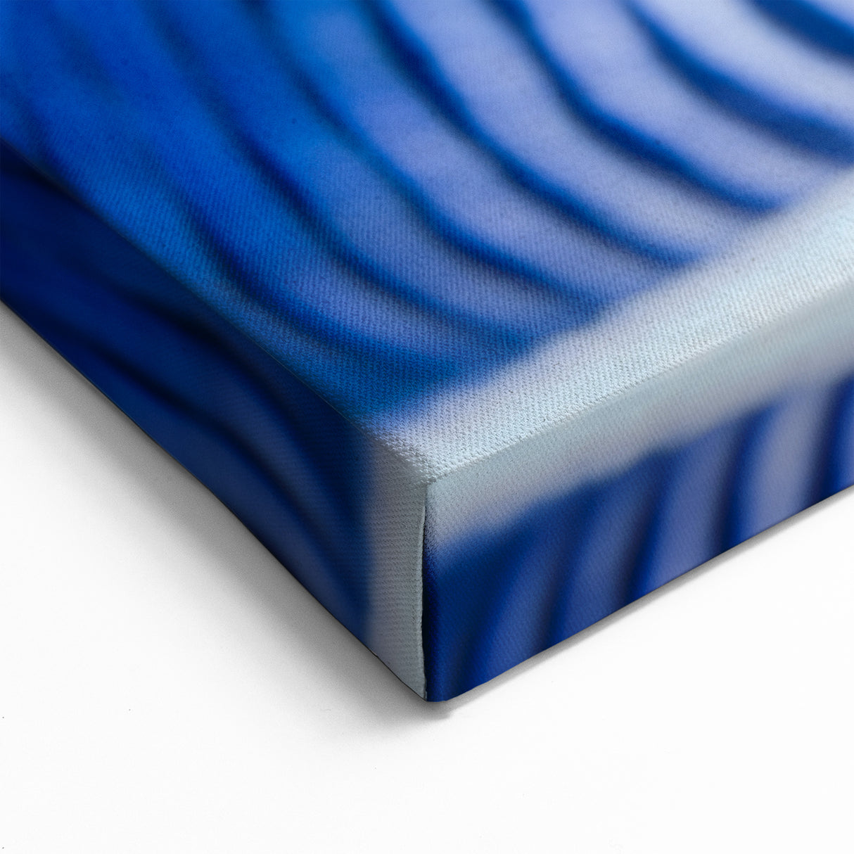 Striking Eel Wall Art - Underwater Marine Life Canvas & Framed Prints