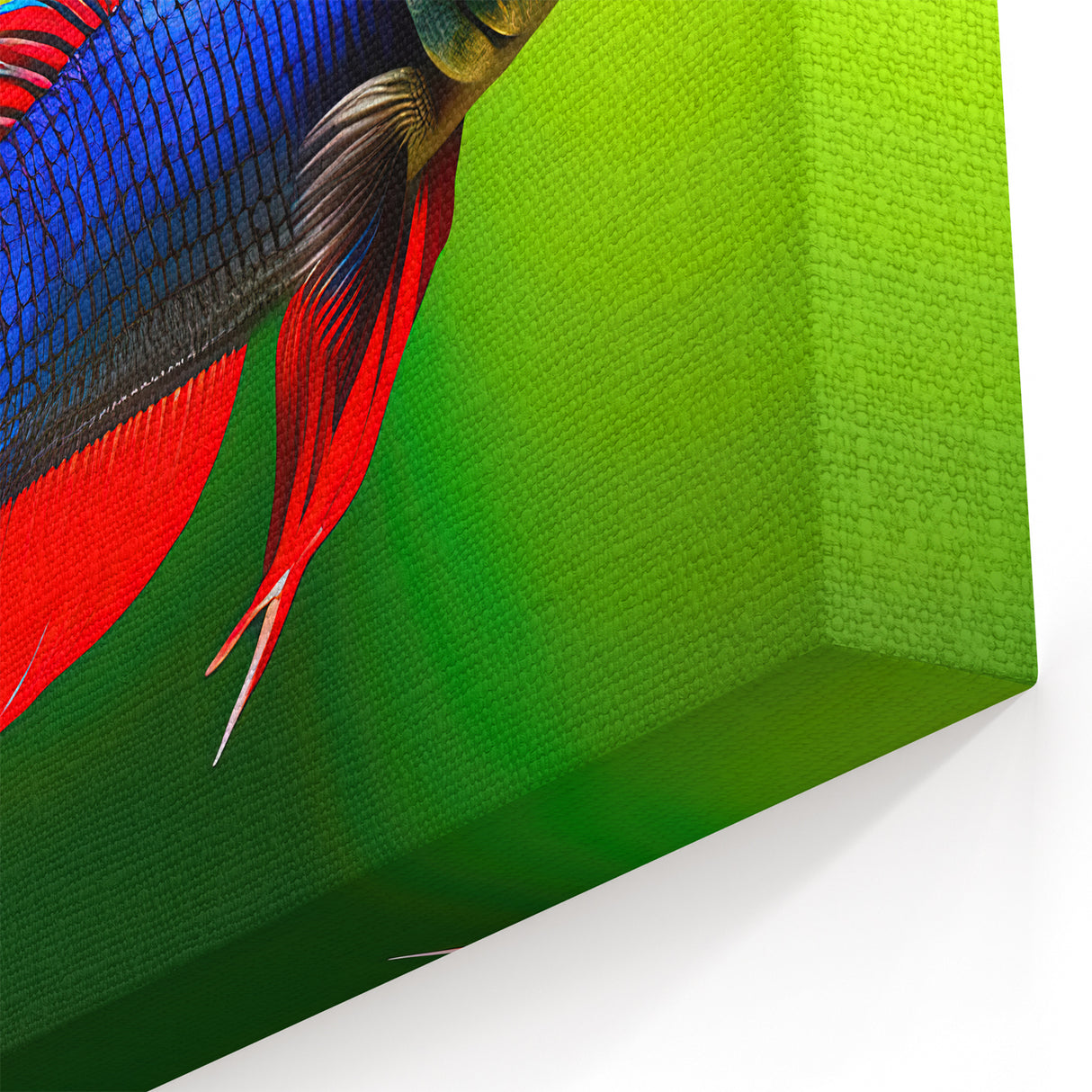Striking Betta Fish Wall Art - Bold Marine Life Canvas Print for Decor