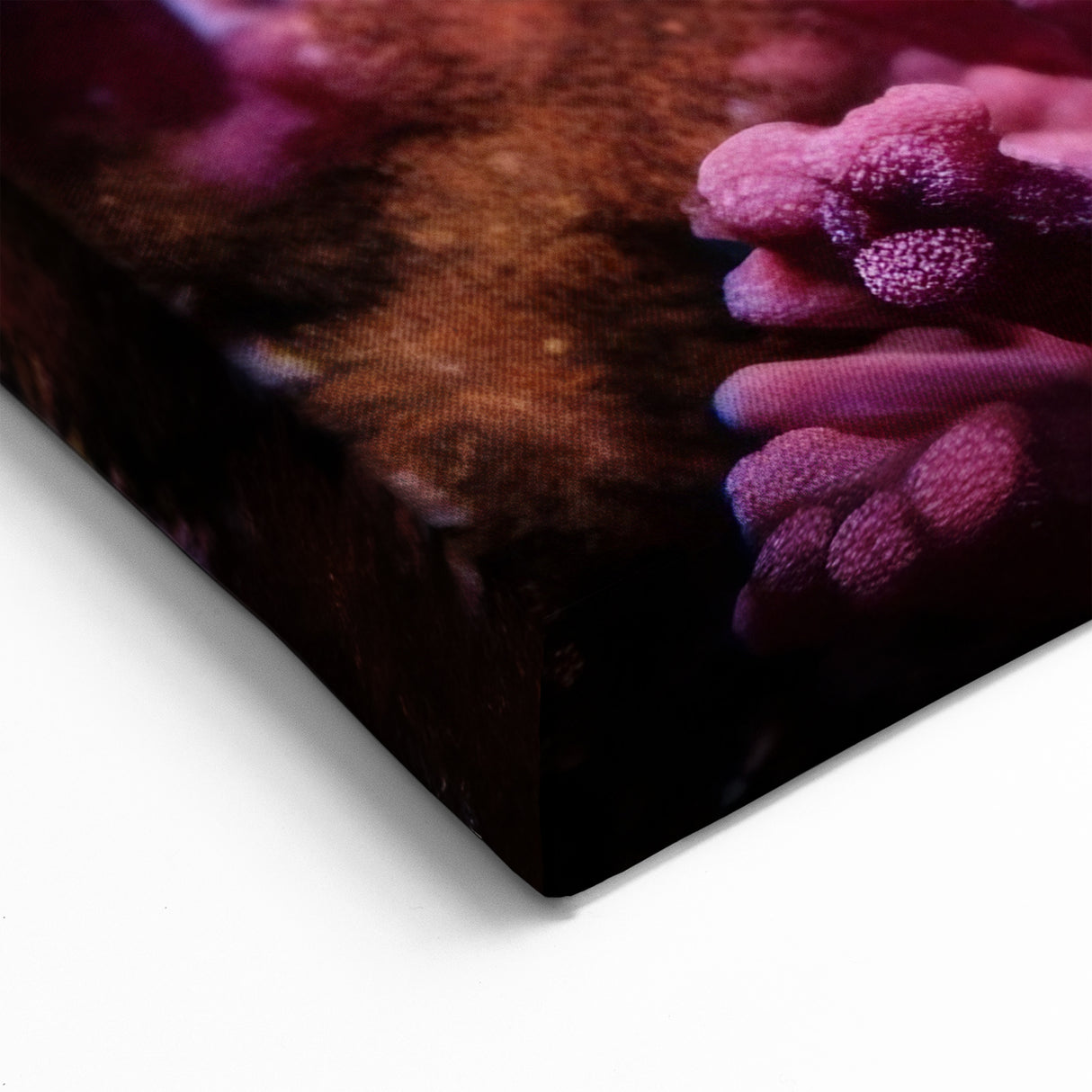 Vibrant Coral Reef Fish Wall Art - Marine Life Canvas Print for Decor