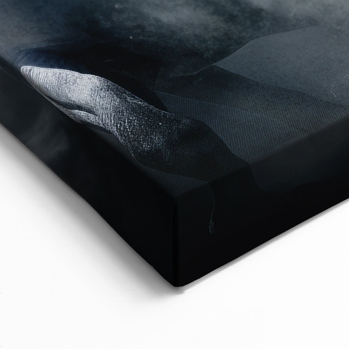 Horse Wall Art - Powerful White Horses in Motion - Canvas Print