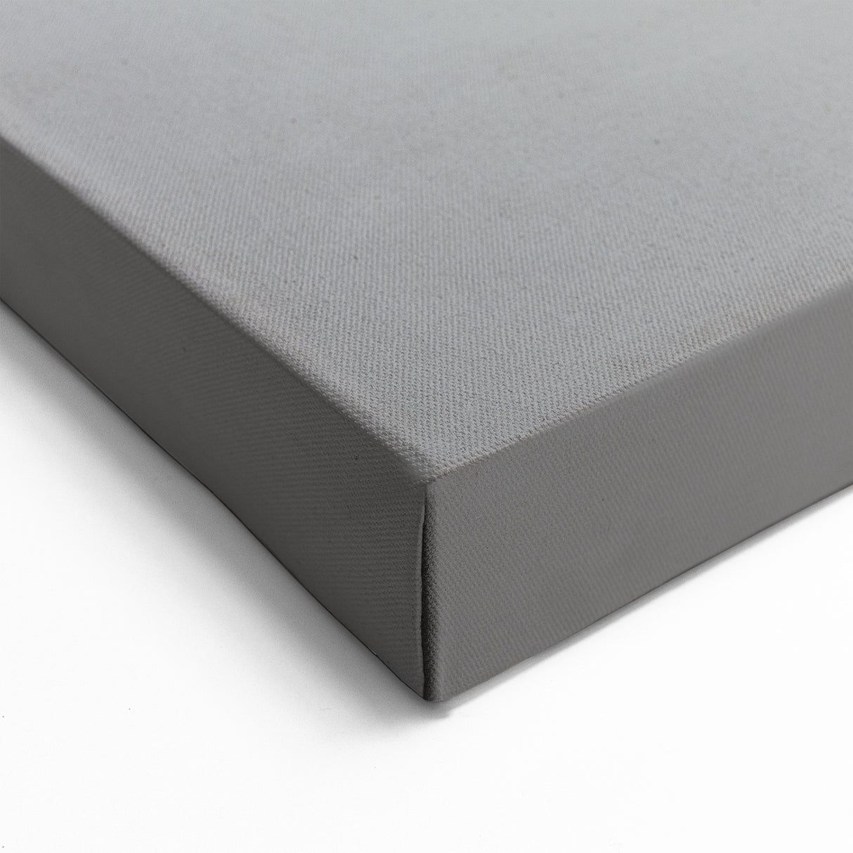 Minimalist Fish Wall Art - Monochrome Marine Life Canvas for Modern Decor