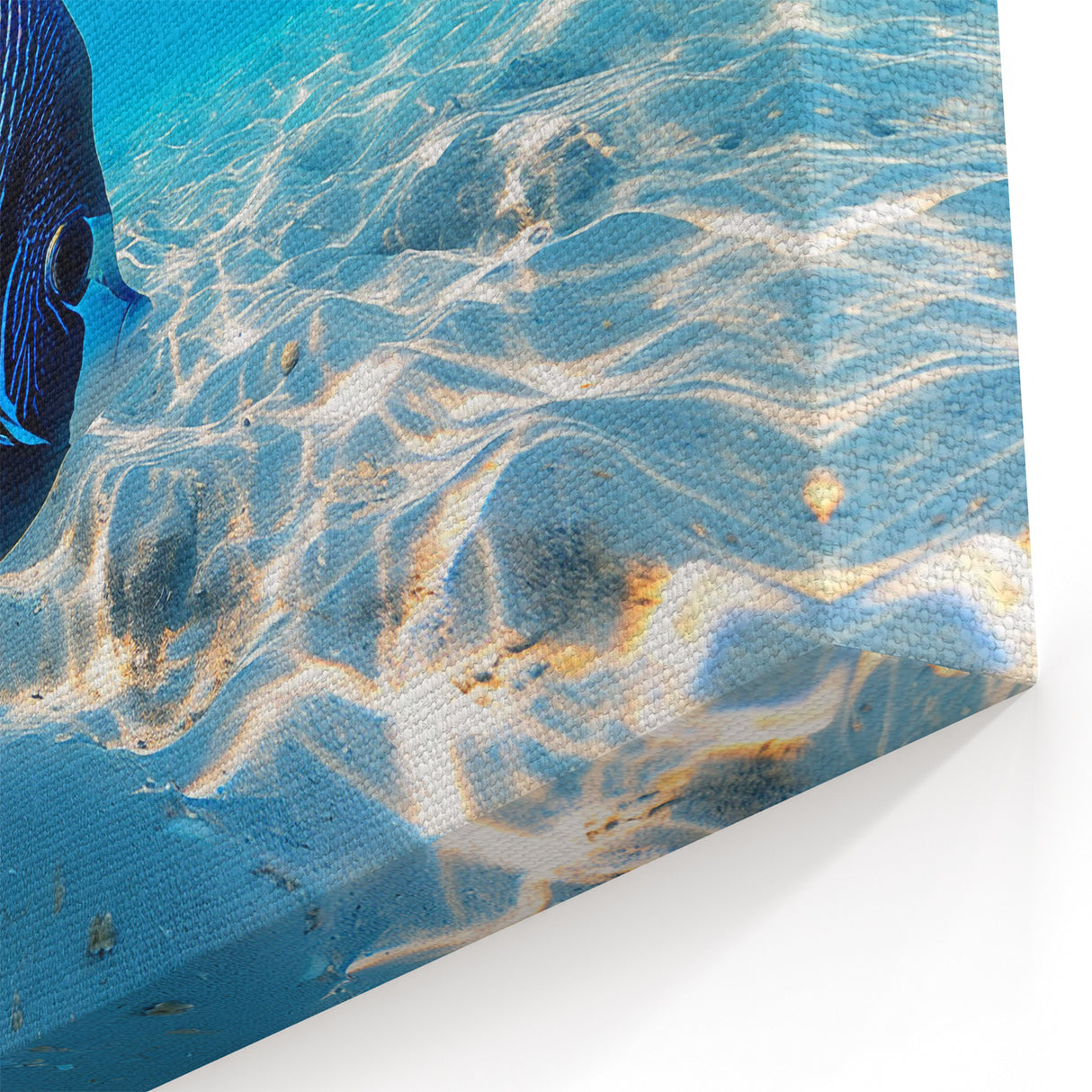 Vibrant Angelfish Wall Art - Ocean Fish Canvas for Coastal Decor