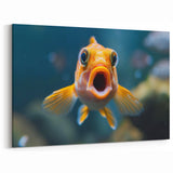 Expressive Orange Fish Wall Art - Canvas, Framed & Acrylic Prints