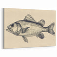 Vintage Fish Illustration Wall Art - Canvas, Framed & Acrylic Prints