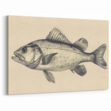 Vintage Fish Illustration Wall Art - Canvas, Framed & Acrylic Prints