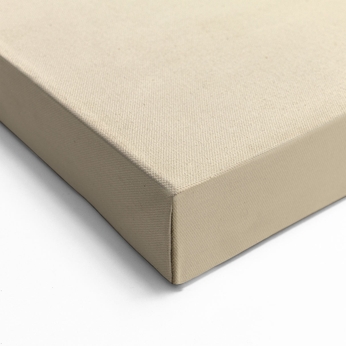 Vintage Fish Illustration Wall Art - Canvas, Framed & Acrylic Prints