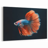 Vibrant Marine Betta Fish Wall Art - Canvas, Framed & Acrylic Prints