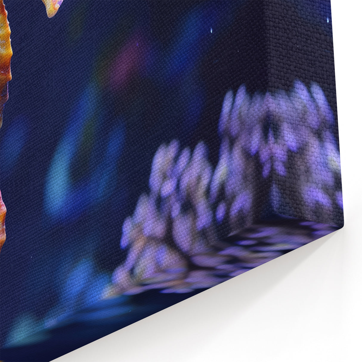 Colorful Seahorse Wall Art - Canvas, Framed & Acrylic Prints