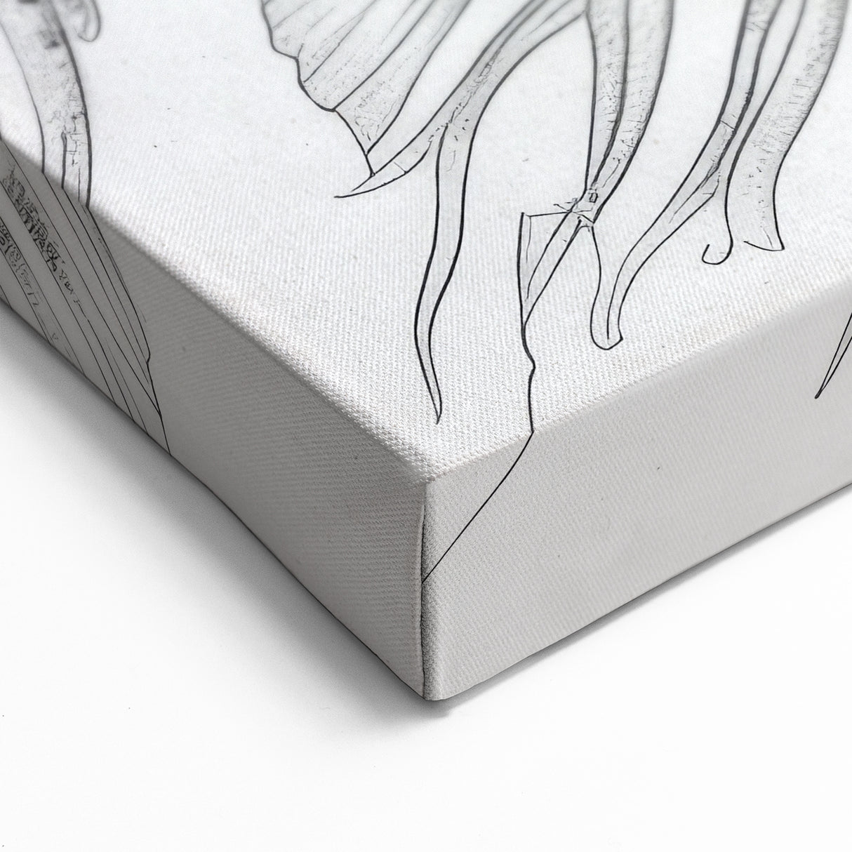 Detailed Fish Illustration Wall Art - Canvas, Framed & Acrylic Prints