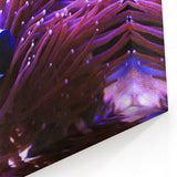 Black and White Clownfish Wall Art - Canvas, Framed & Acrylic Prints