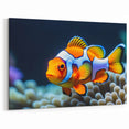 Vibrant Clownfish Wall Art - Canvas, Framed & Acrylic Prints