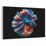 Striking Fish Wall Art - Betta Fish Canvas Print - Ocean Life Decor