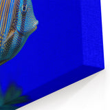 Vivid Fish Wall Art - Striped Surgeonfish Canvas Print - Ocean Decor