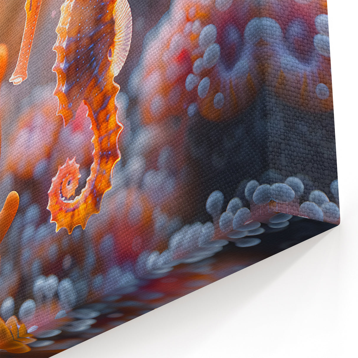 Delicate Seahorse Wall Art - Seahorse Canvas Print - Marine Life Decor