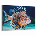 Striking Lionfish Wall Art - Lionfish Canvas Print - Ocean Life Decor