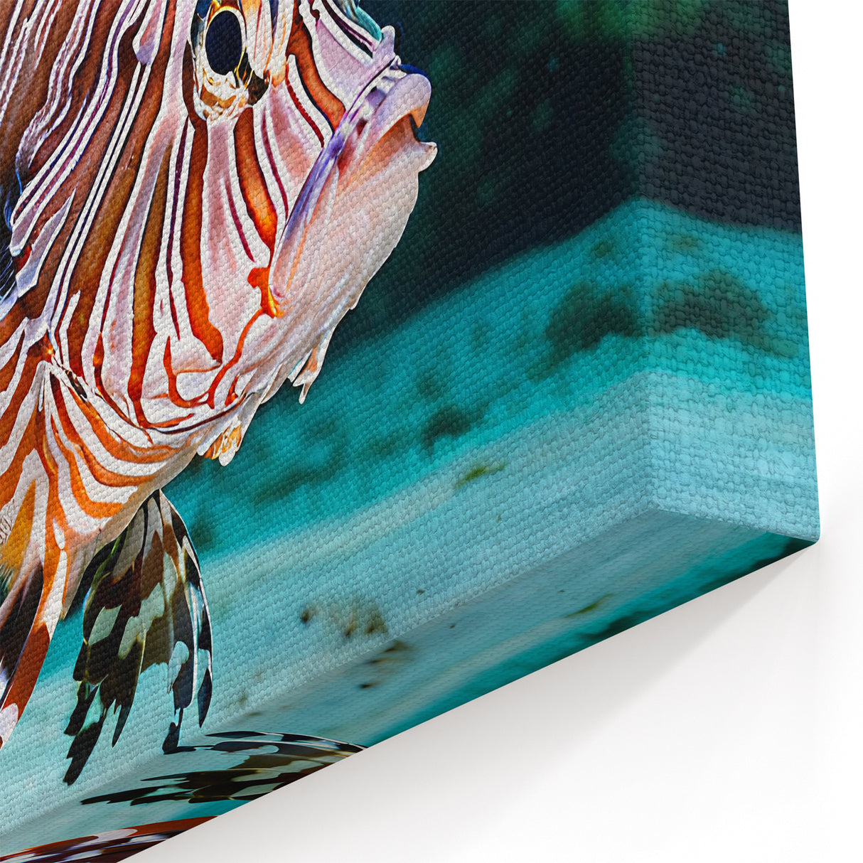 Striking Lionfish Wall Art - Lionfish Canvas Print - Ocean Life Decor