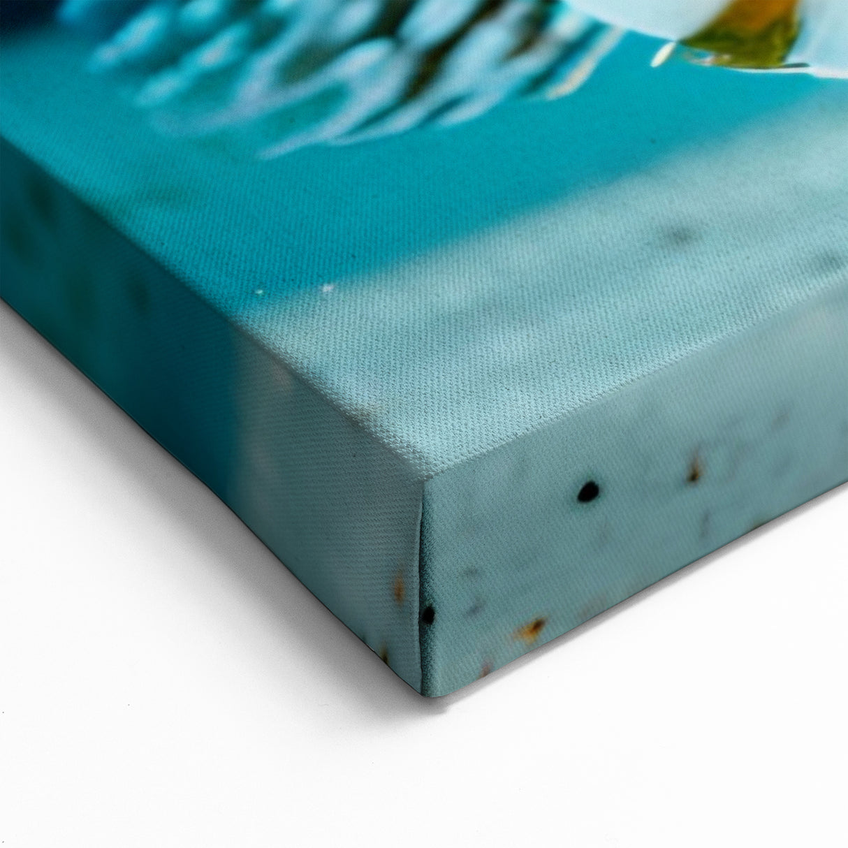 Striking Lionfish Wall Art - Lionfish Canvas Print - Ocean Life Decor