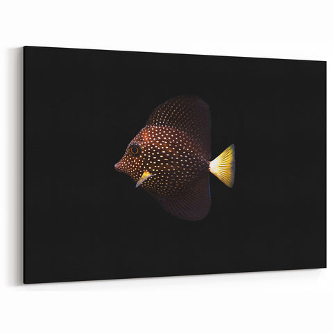 Elegant Spotted Fish Wall Art - Marine Life Canvas Print - Ocean Decor