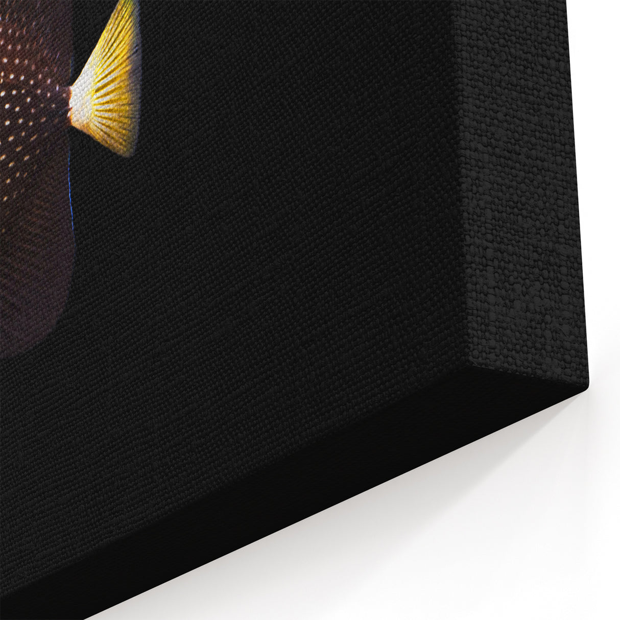 Elegant Spotted Fish Wall Art - Marine Life Canvas Print - Ocean Decor