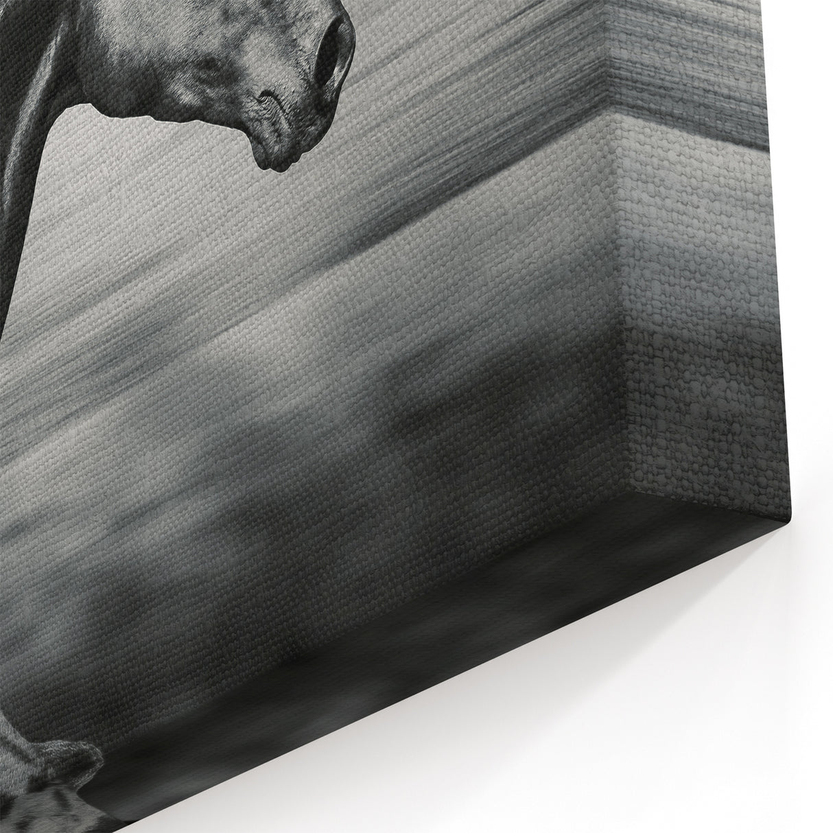 Black Horse in Motion Wall Art - Sleek Equestrian Canvas Print Decor