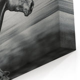 Black Horse in Motion Wall Art - Sleek Equestrian Canvas Print Decor