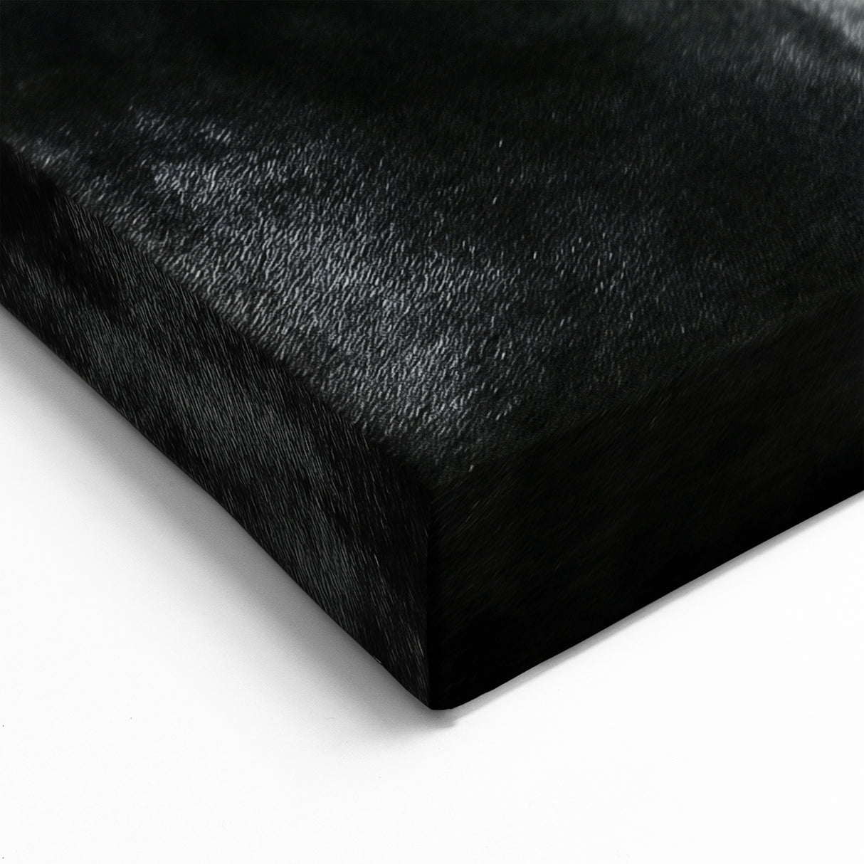 Black Horse in Motion Wall Art - Sleek Equestrian Canvas Print Decor