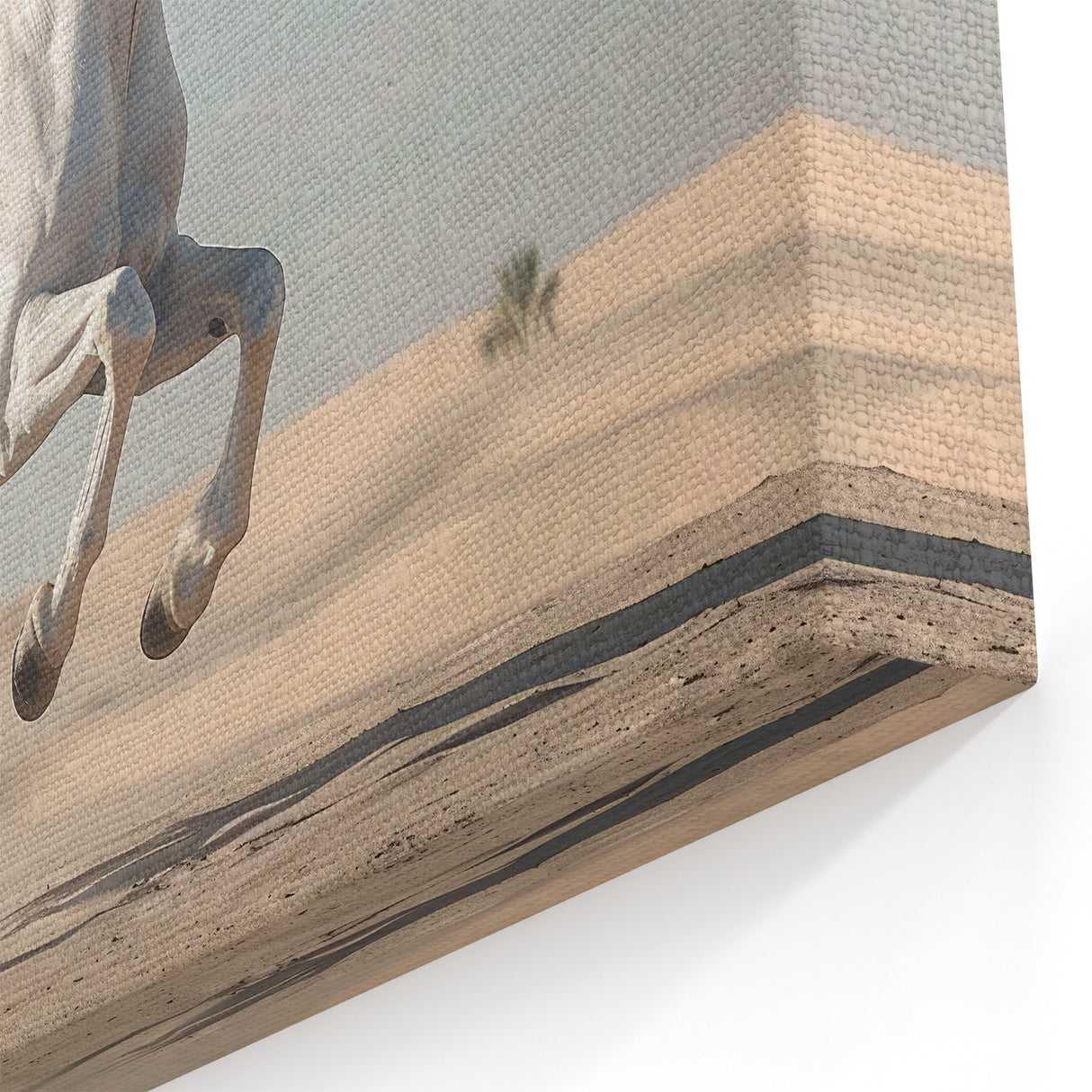 Graceful White Horse in Desert Wall Art - Elegant Equestrian Canvas