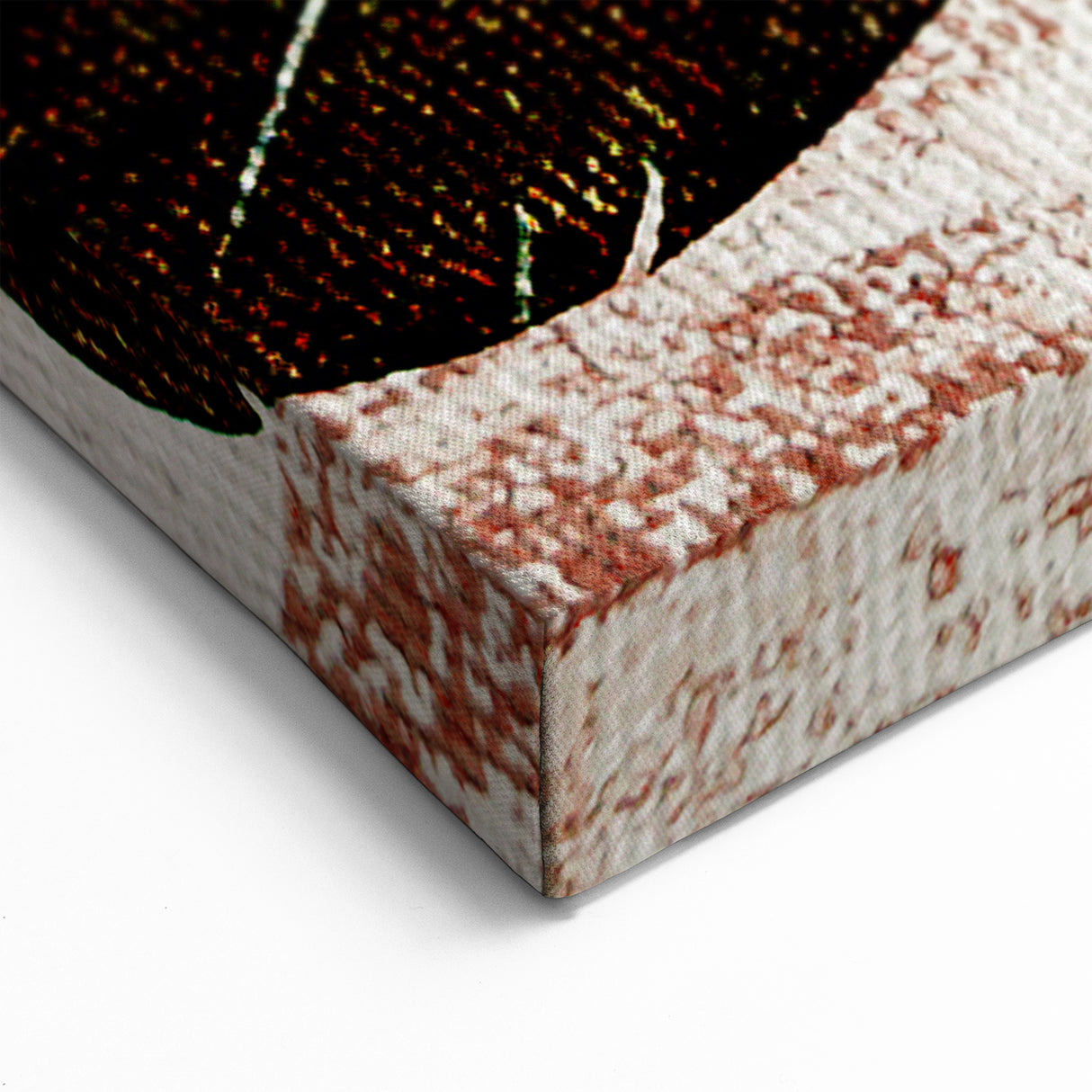 Colorful Feather Abstract Art - Modern Rustic Strokes Canvas Print