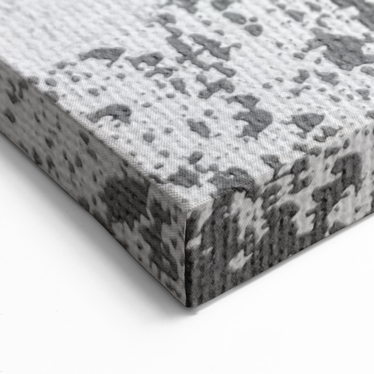 Abstract Feather Duo Art - Modern Rustic Feathered Canvas Print