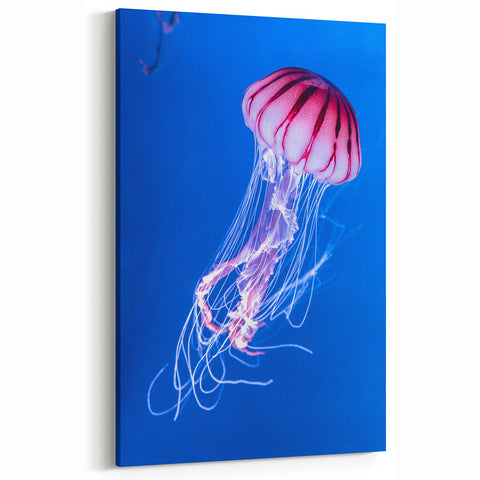 Mesmerizing Jellyfish Wall Art - Vibrant Marine Life Canvas & Framed Prints