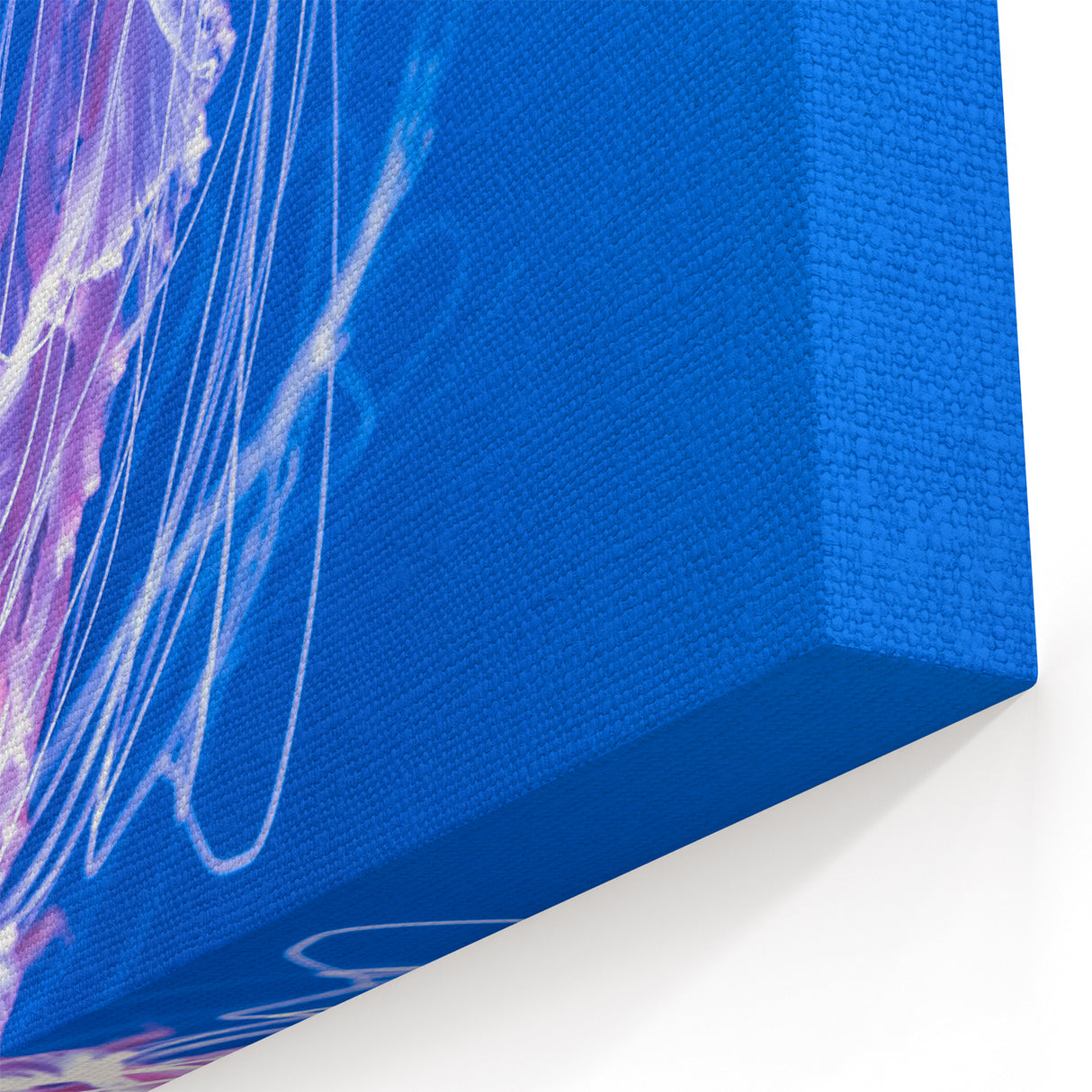 Mesmerizing Jellyfish Wall Art - Vibrant Marine Life Canvas & Framed Prints