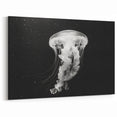 Monochrome Jellyfish Wall Art - Elegant Marine Life Canvas & Prints