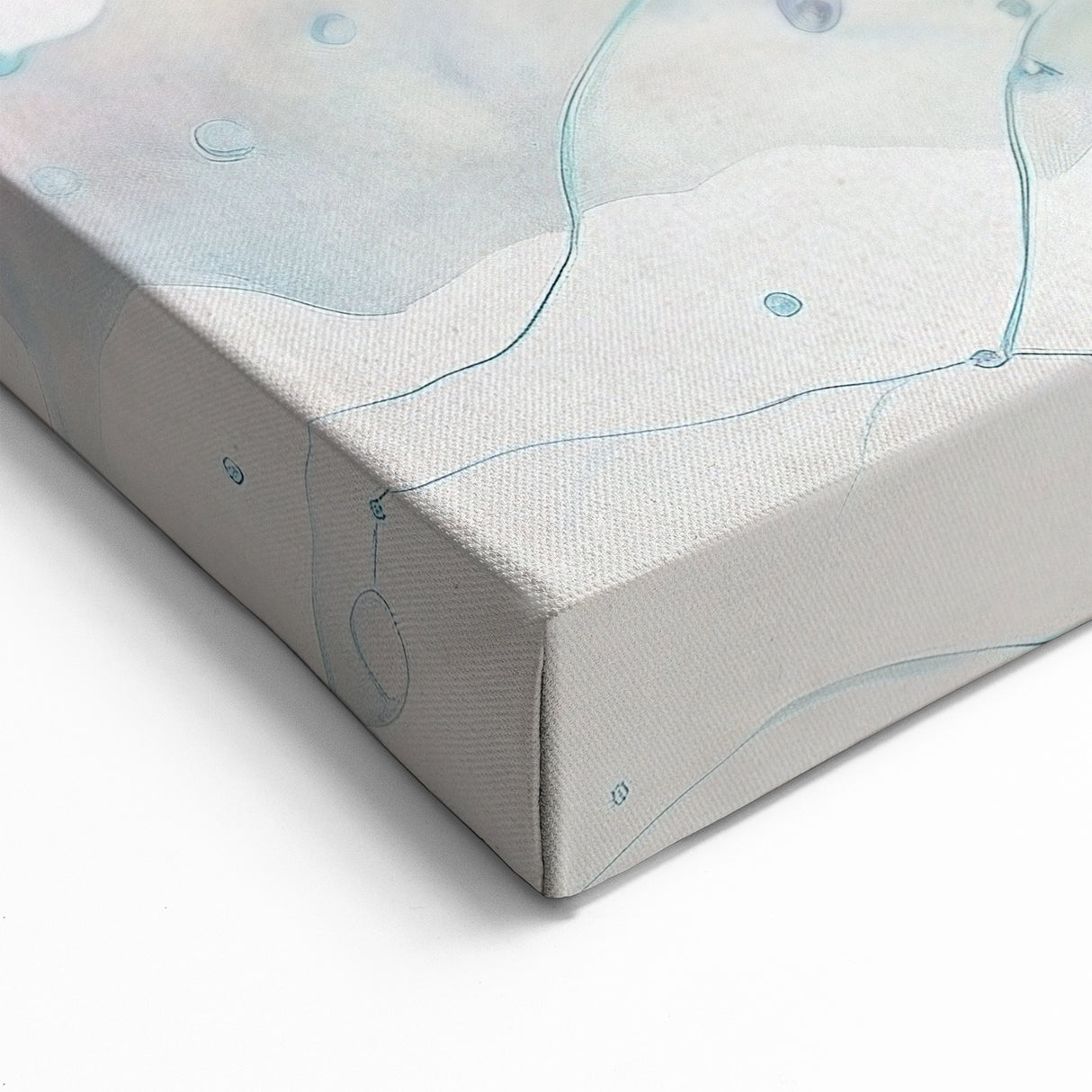 Delicate Jellyfish Wall Art - Ethereal Marine Life Canvas & Prints