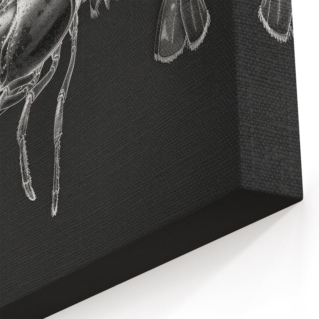 Monochrome Lobster Wall Art - Sleek Marine Life Canvas & Framed Print