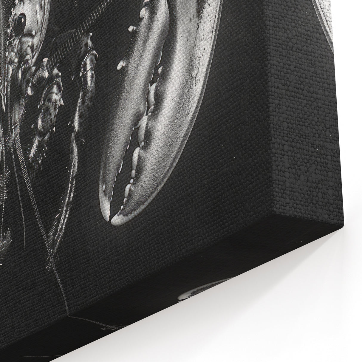 Black and White Lobster Art - Modern Marine Life Canvas & Framed Decor
