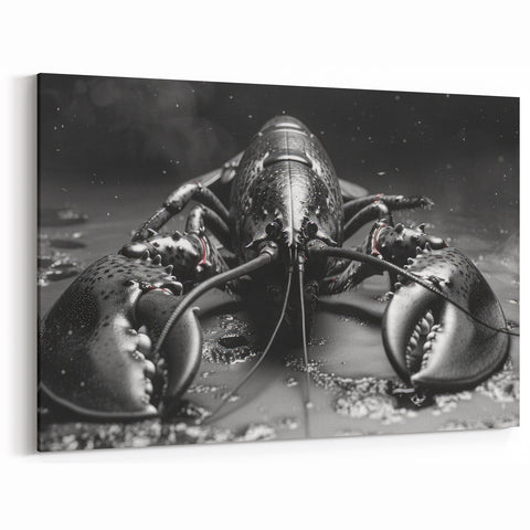 Dramatic Lobster Art - Black & White Marine Life Canvas & Framed Decor