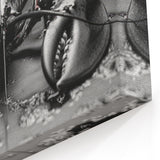 Dramatic Lobster Art - Black & White Marine Life Canvas & Framed Decor