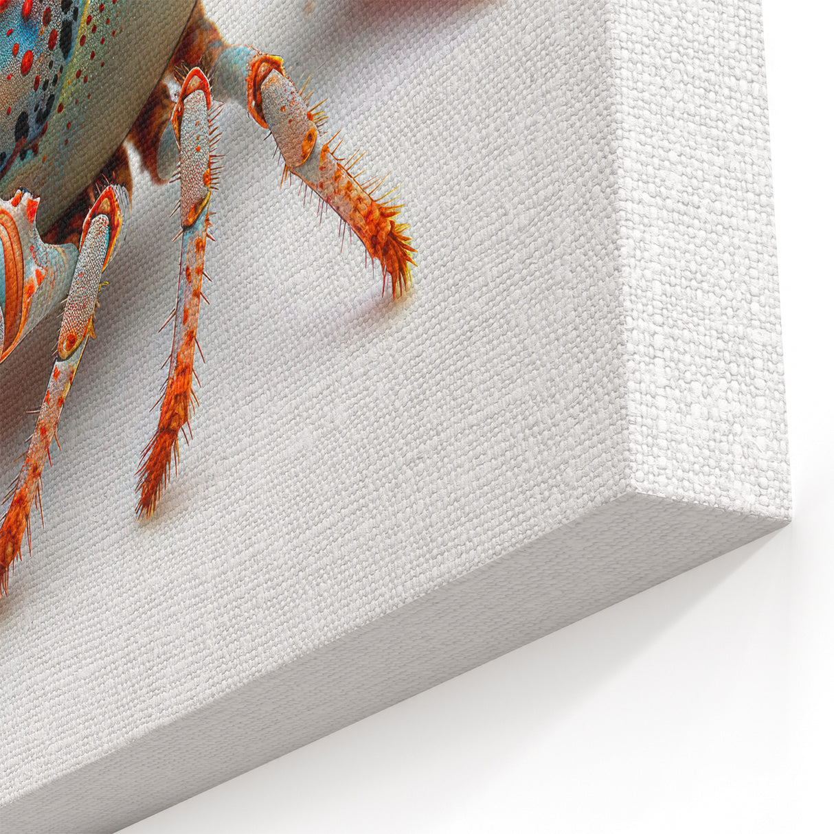 Colorful Lobster Art - Marine Life Canvas & Framed Wall Decor