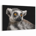Lemur Wall Art - Exotic Animal Canvas Print