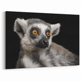 Lemur Wall Art - Exotic Animal Canvas Print
