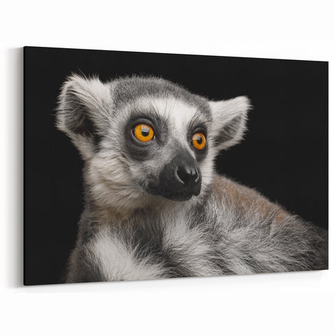 Lemur Wall Art - Exotic Animal Canvas Print