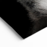 Lemur Wall Art - Exotic Animal Canvas Print