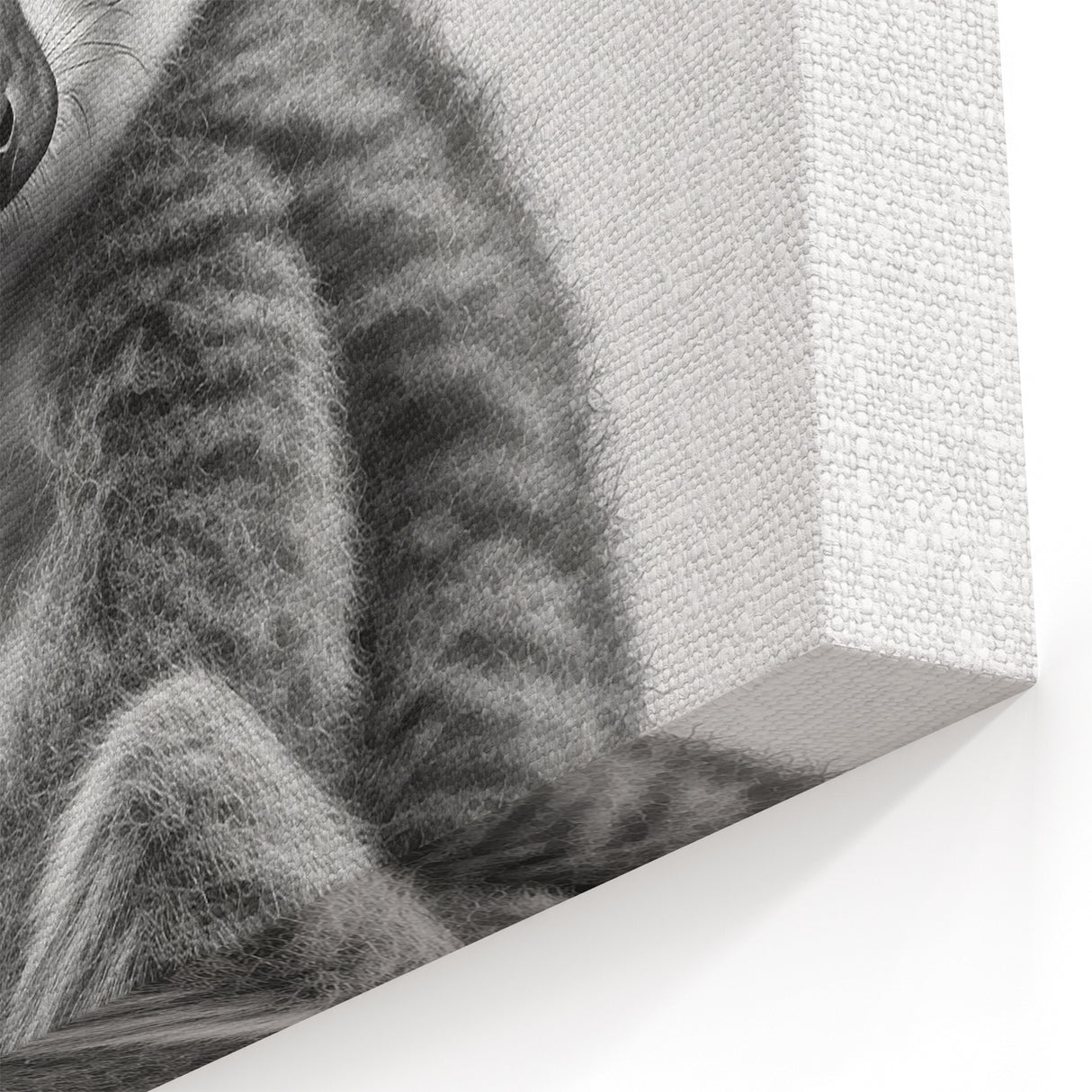 Monochrome Lemur Art Print - Elegant Black and White Wildlife Decor