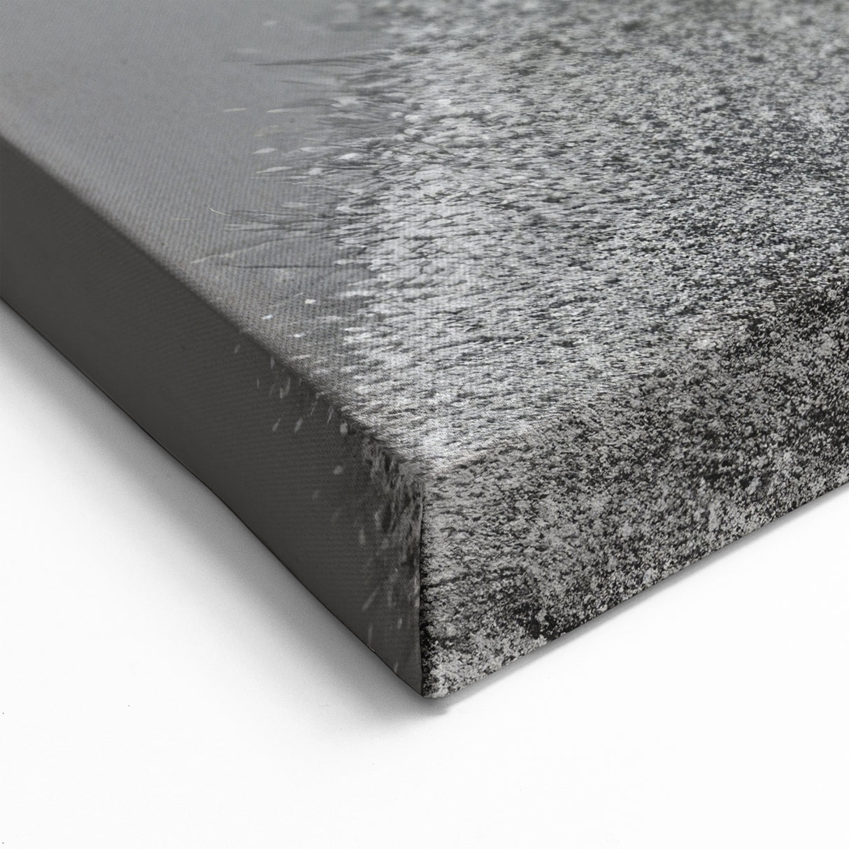 Elegant Lemur Art Print - Minimalist Black and White Wildlife Decor