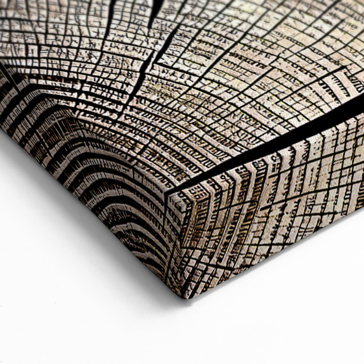 Rustic Abstract Wood Slice Art with Earthy Tones